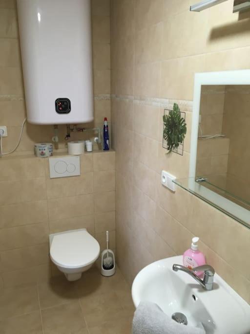 Apartment U Hadiny